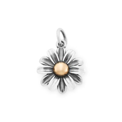 Blooming Daisies Collection